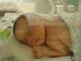 /album/fotos/pedrinho-maternidade-2009-26-jpg/